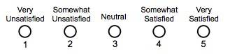 5-point-survey