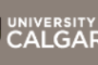 【EDUCATION LITERATURE REVIEW代写案例】University of Calgary