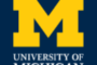 【Sex Education 代写案例】University of Michigan